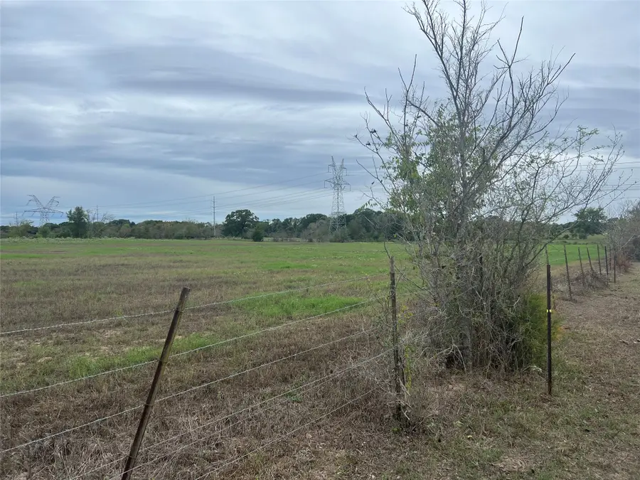 Lot #4 and #5 County Road 166, Iola, TX 77861 - #2