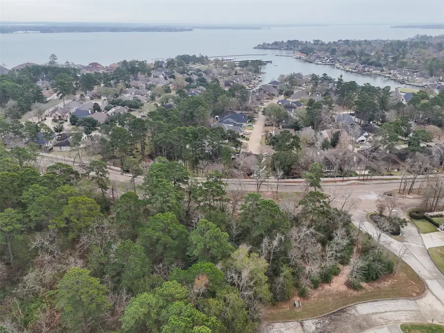 101 Pine Bluff Drive, Montgomery, TX 77356 - Image #3