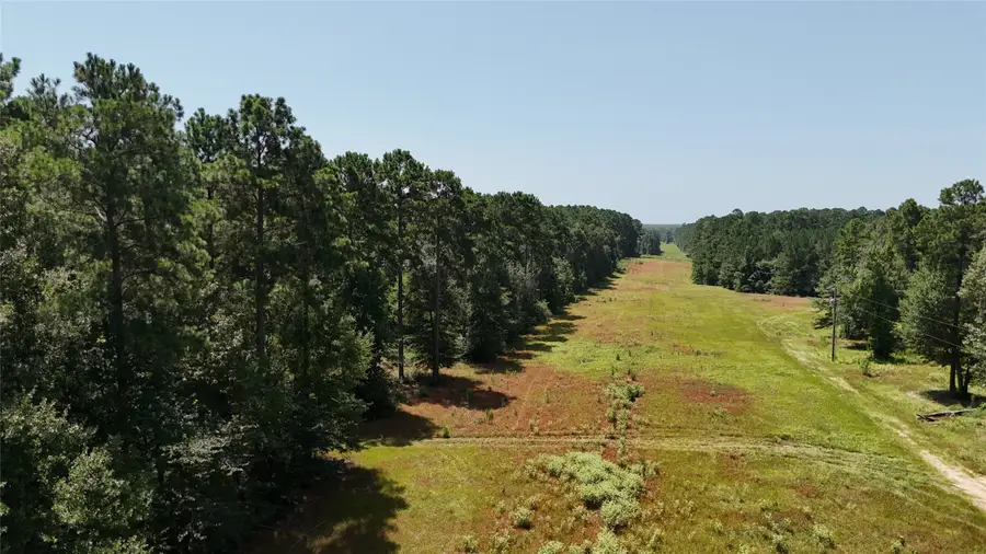 TBD Walding Road, Livingston, TX 77351 - #3