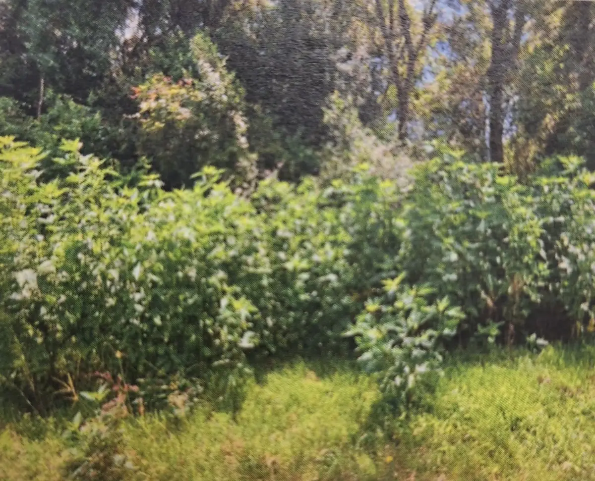 120 Alabama, Liberty, TX 77575 - #1