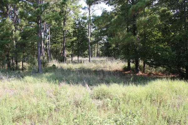 Lot 2 Morris Lane, Huntsville, TX 77320