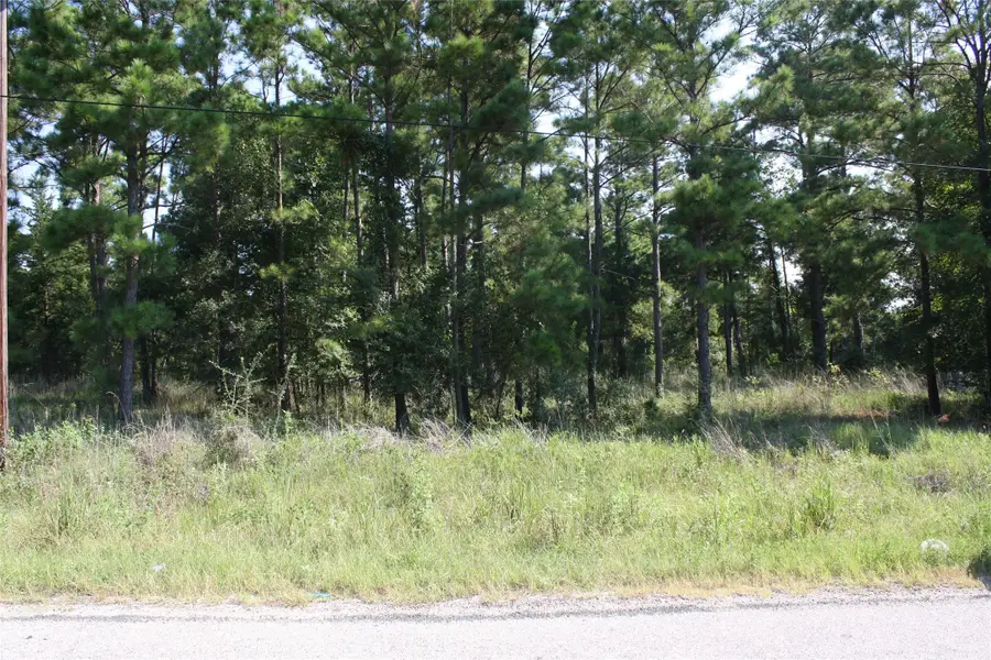 Lot 2 Morris Lane, Huntsville, TX 77320 - Image #3