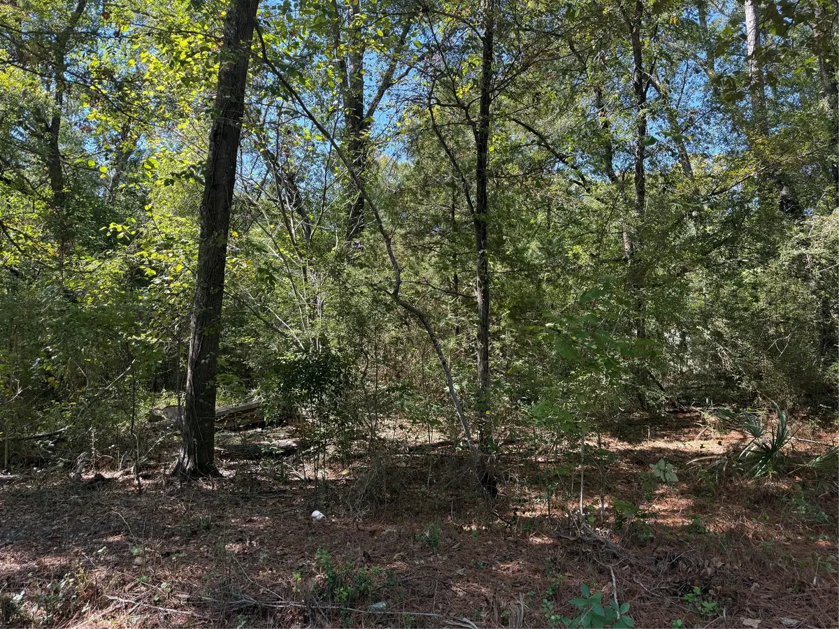 TBD Tejas Drive, Huntsville, TX 77320 - #1