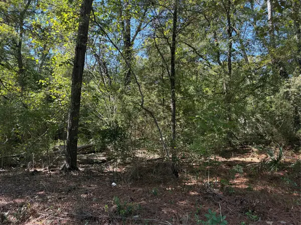 TBD Tejas Drive, Huntsville, TX 77320