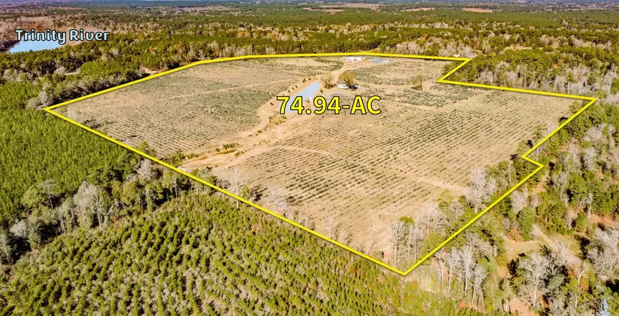 1201 Fm 2610, Livingston, TX 77351 - #2