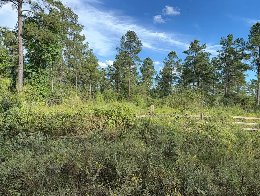 000 Richardson Road E, Livingston, TX 77351 - #2