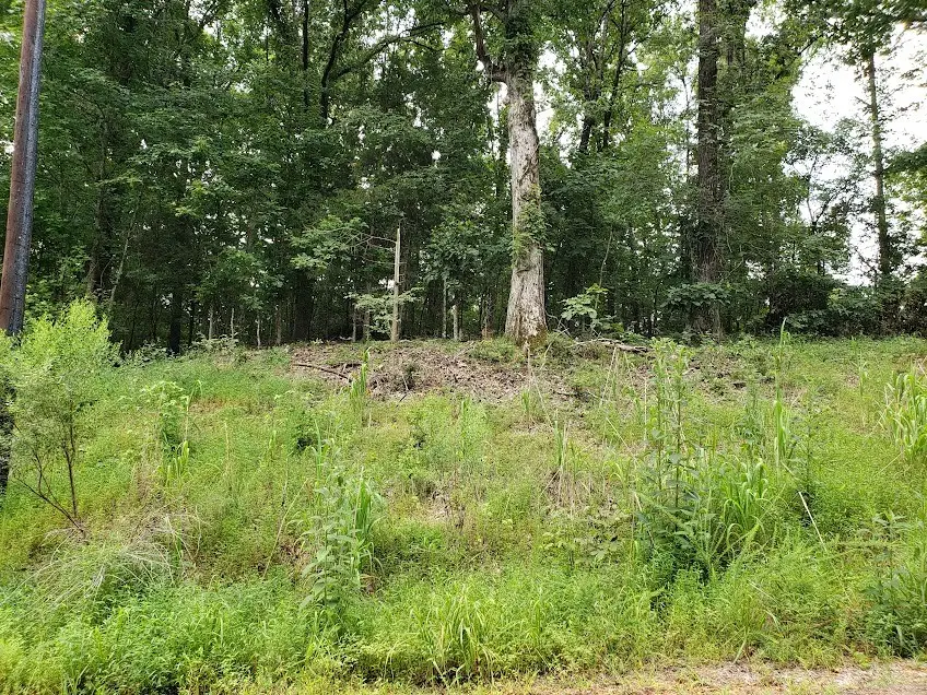 1171 Edgewood Drive, Saulsbury, TN 38067 - #2