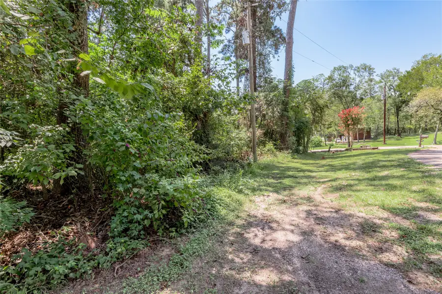 Lot 6 Evergreen Circle, Point Blank, TX 77364 - #3