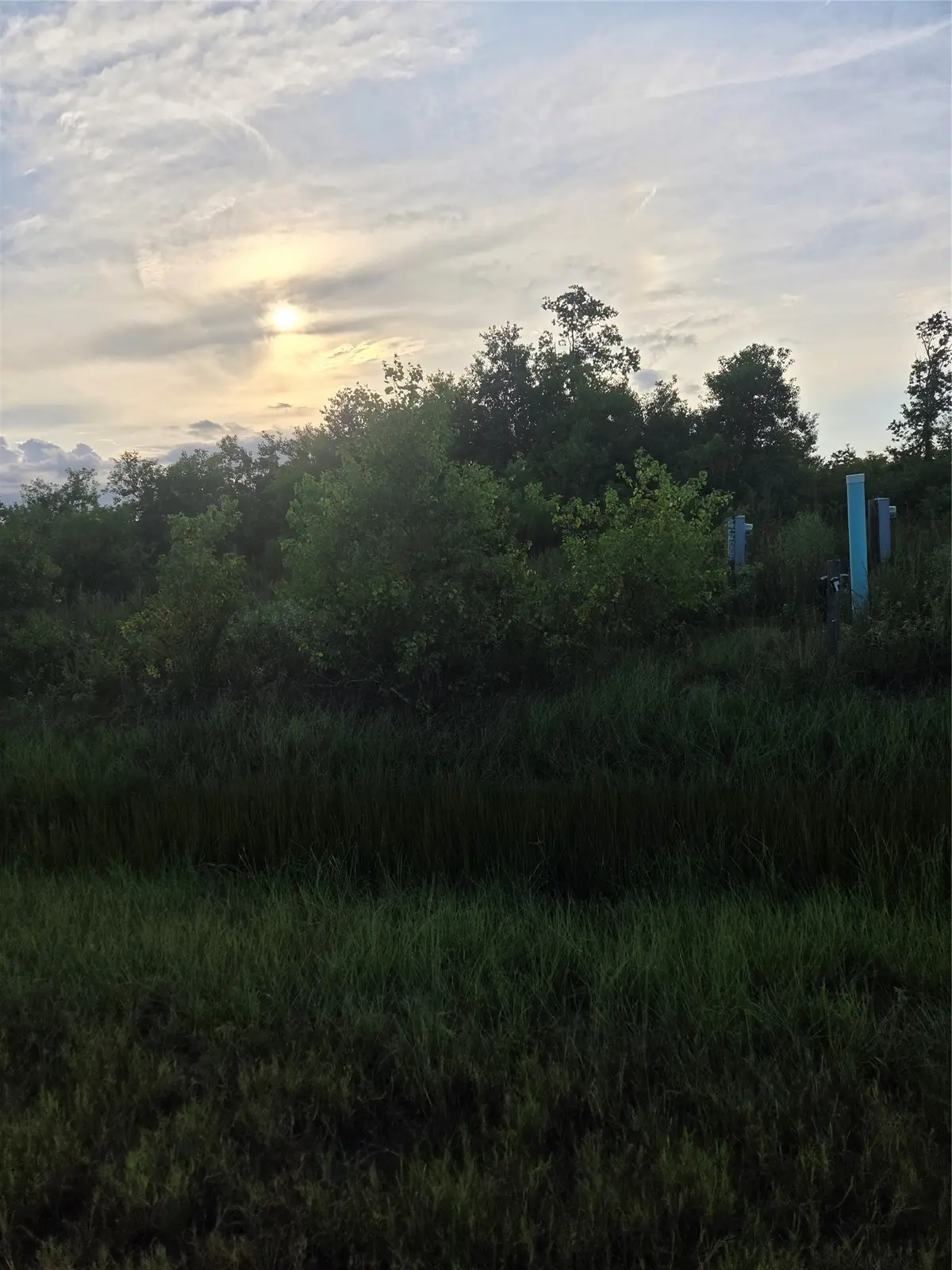 1645 Road 5704, Cleveland, TX 77327 - #1