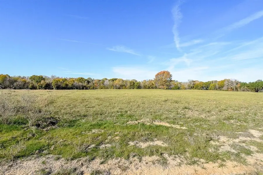 111 Buckhorn Creek Drive, Crockett, TX 75835 - Image #2