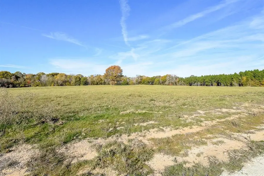 111 Buckhorn Creek Drive, Crockett, TX 75835 - Image #3