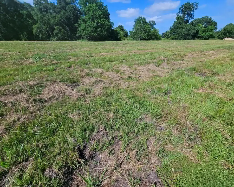 543 Pony Trail, Angleton, TX 77515 - #3