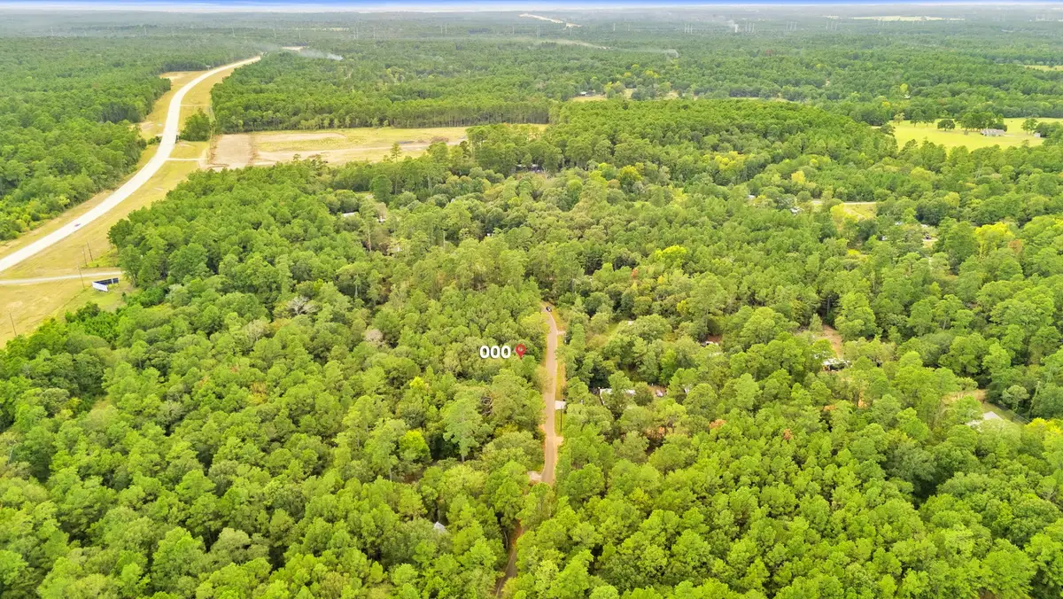 000 County Road 201 Loop, Plantersville, TX 77363 - Image #1