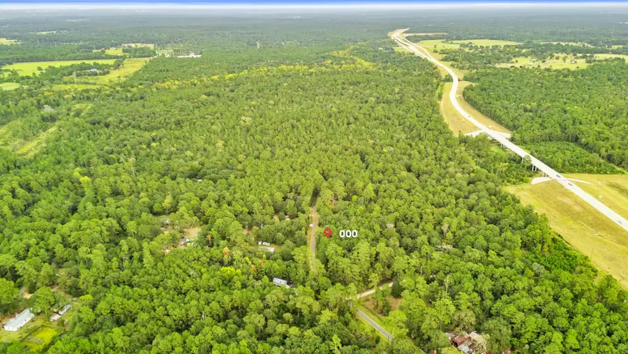 000 County Road 201 Loop, Plantersville, TX 77363 - Image #2