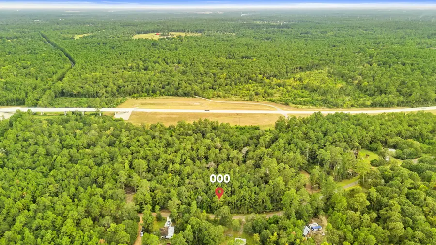 000 County Road 201 Loop, Plantersville, TX 77363 - Image #3