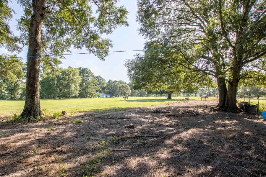 TBD N North Fm 1486 Road, Montgomery, TX 77356 - #2