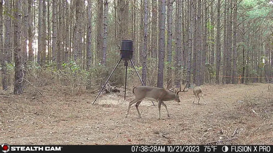 350 Williamson Way, Lovelady, TX 75851 - Image #3