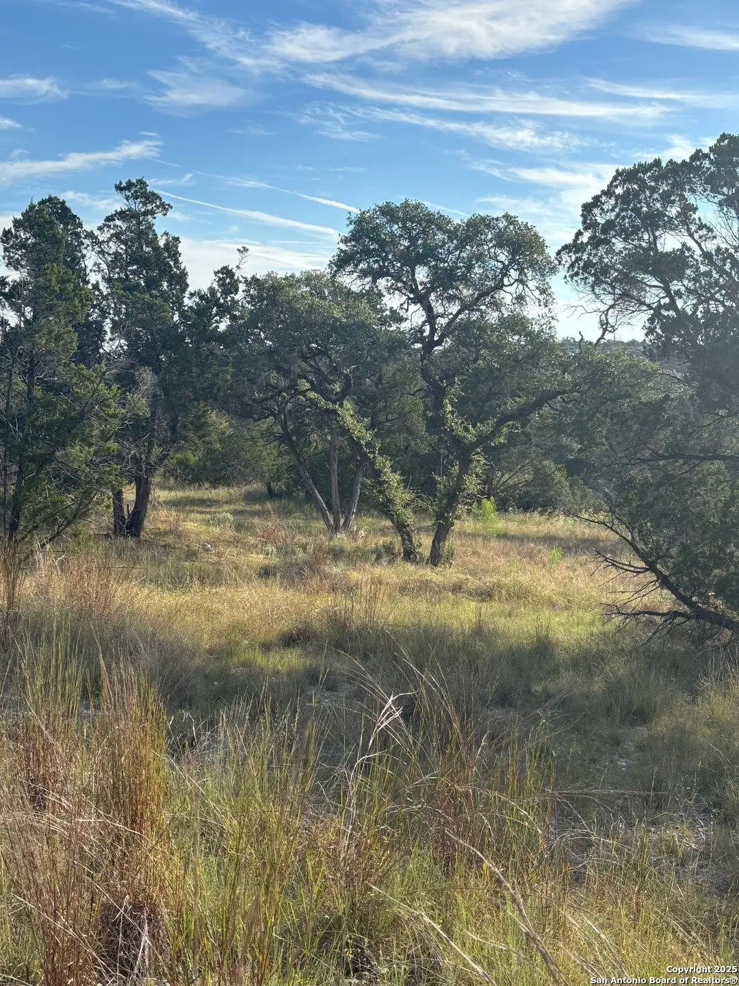 378 Cloudveil, New Braunfels, TX 78132 - Image #1