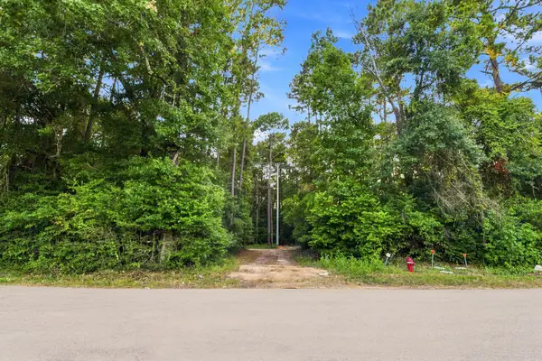 201 Lewis Lane, New Waverly, TX 77358