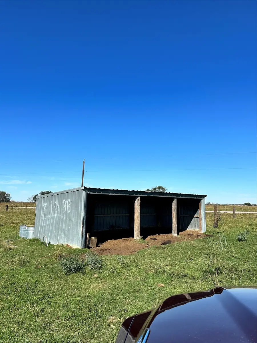 17002 Brumbelow Road, Needville, TX 77461 - #3