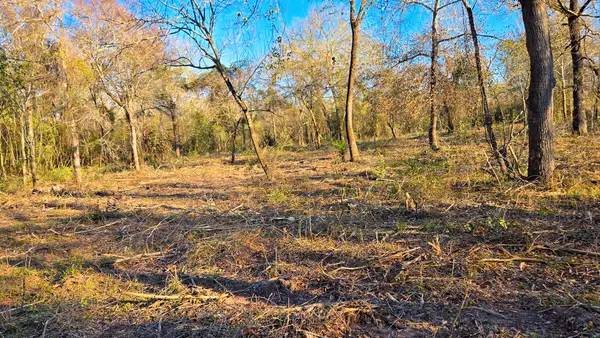 18503 Derrick Road, Navasota, TX 77868