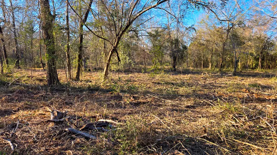 18503 Derrick Road, Navasota, TX 77868 - #2