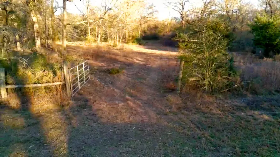 18503 Derrick Road, Navasota, TX 77868 - #3