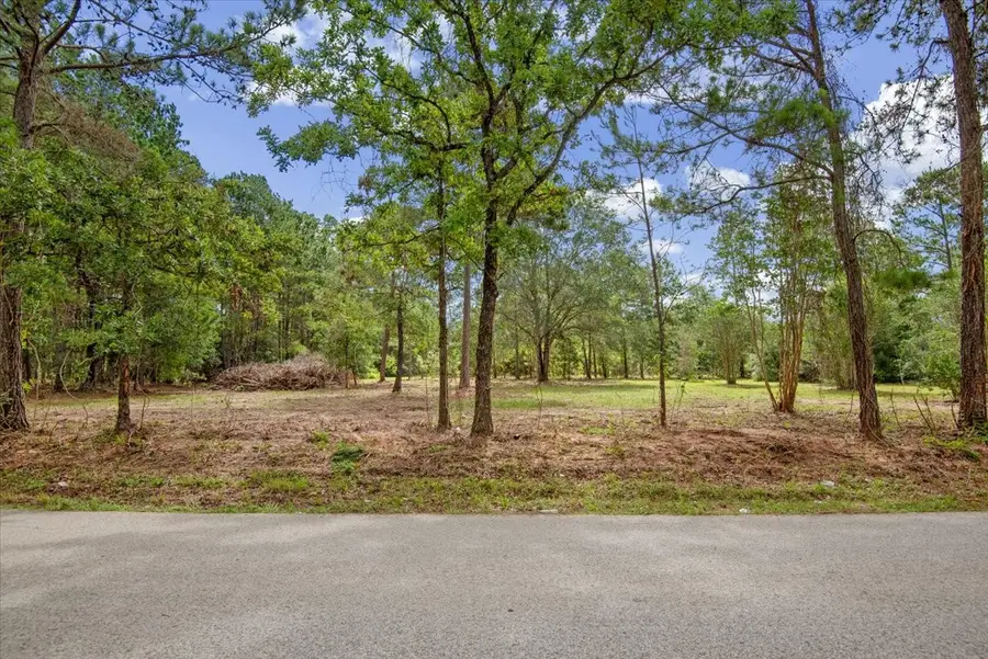 TBD Lot 1 County Road 302, Plantersville, TX 77363 - #3