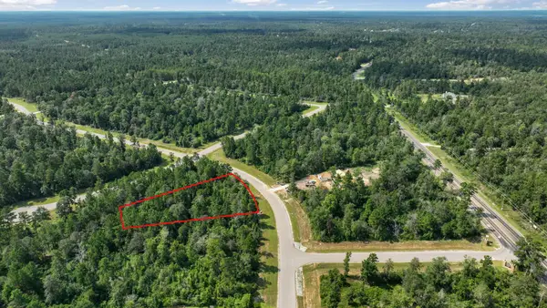 226 Iron Horse Road, New Waverly, TX 77358