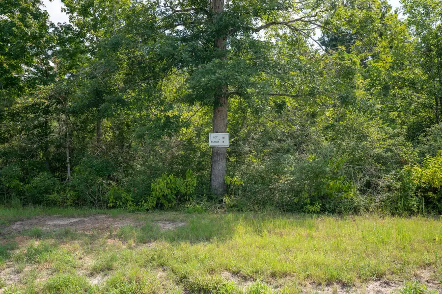 226 Iron Horse Road, New Waverly, TX 77358 - Image #3