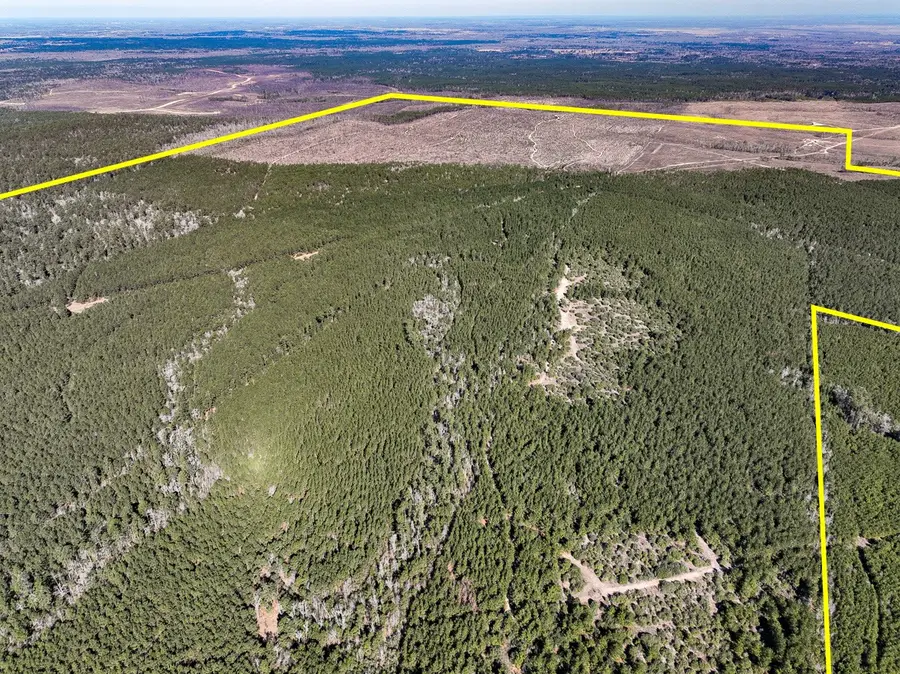 1 Off Fm 247, Huntsville, TX 77340 - #2