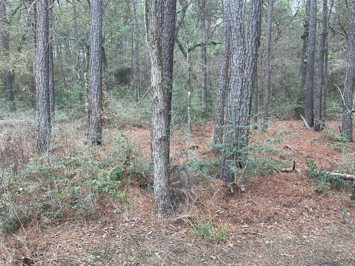 lot 19 Hackberry Drive, Plantersville, TX 77363 - Image #1