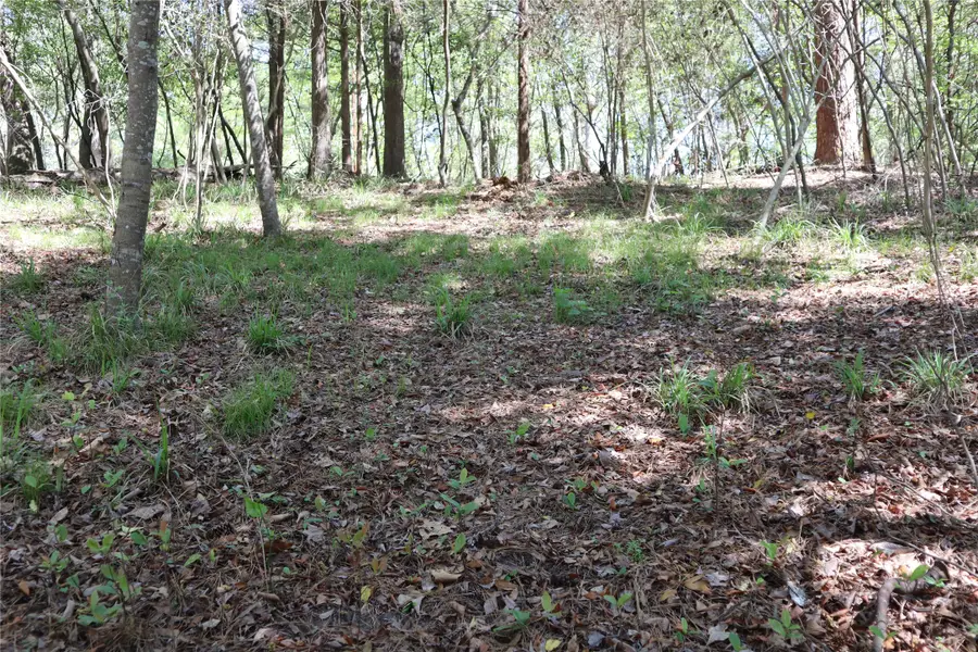 TBD Loper Lake, Livingston, TX 77351 - #2