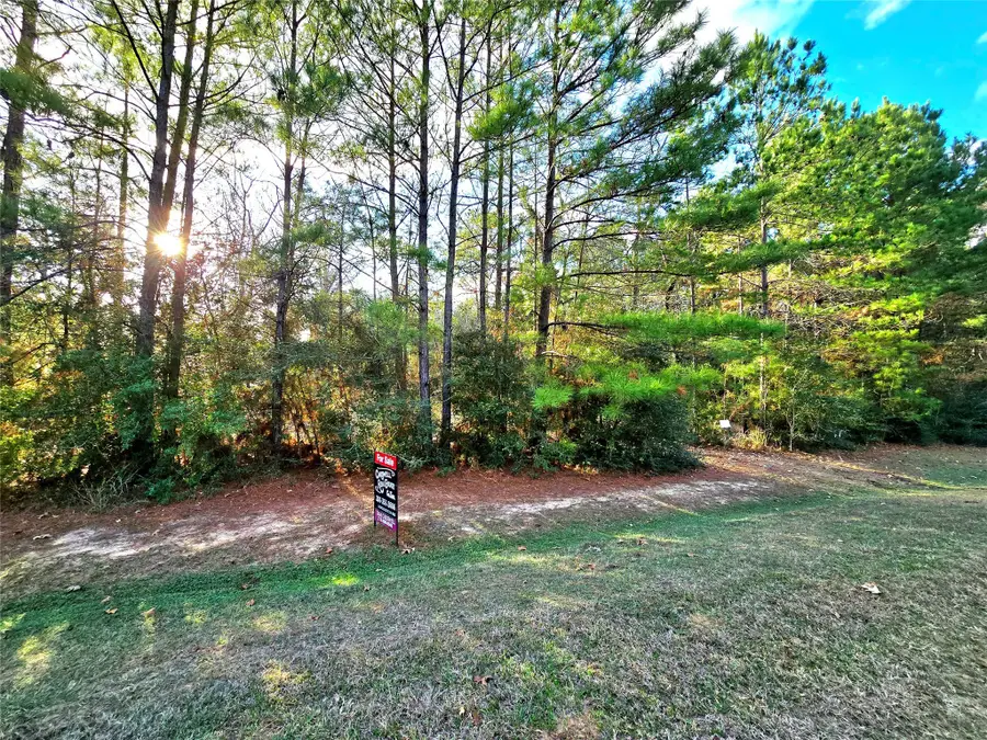 28046 Crossway Oaks, Magnolia, TX 77355 - #2