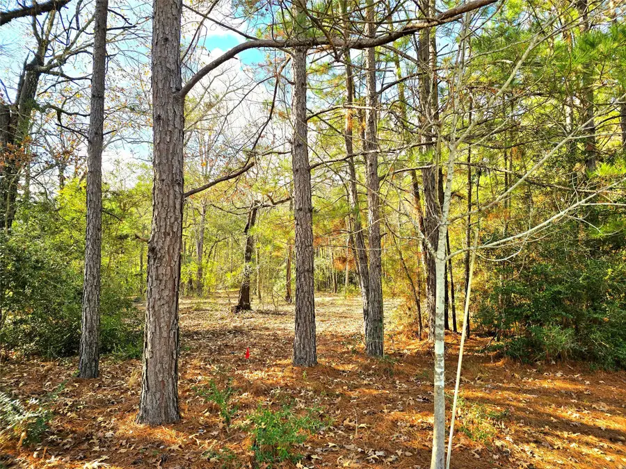 28046 Crossway Oaks, Magnolia, TX 77355 - #3