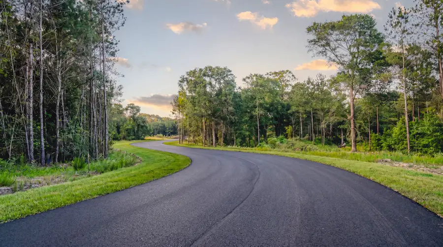 TDB Lot 4 Bellinger Road, Montgomery, TX 77316 - #2