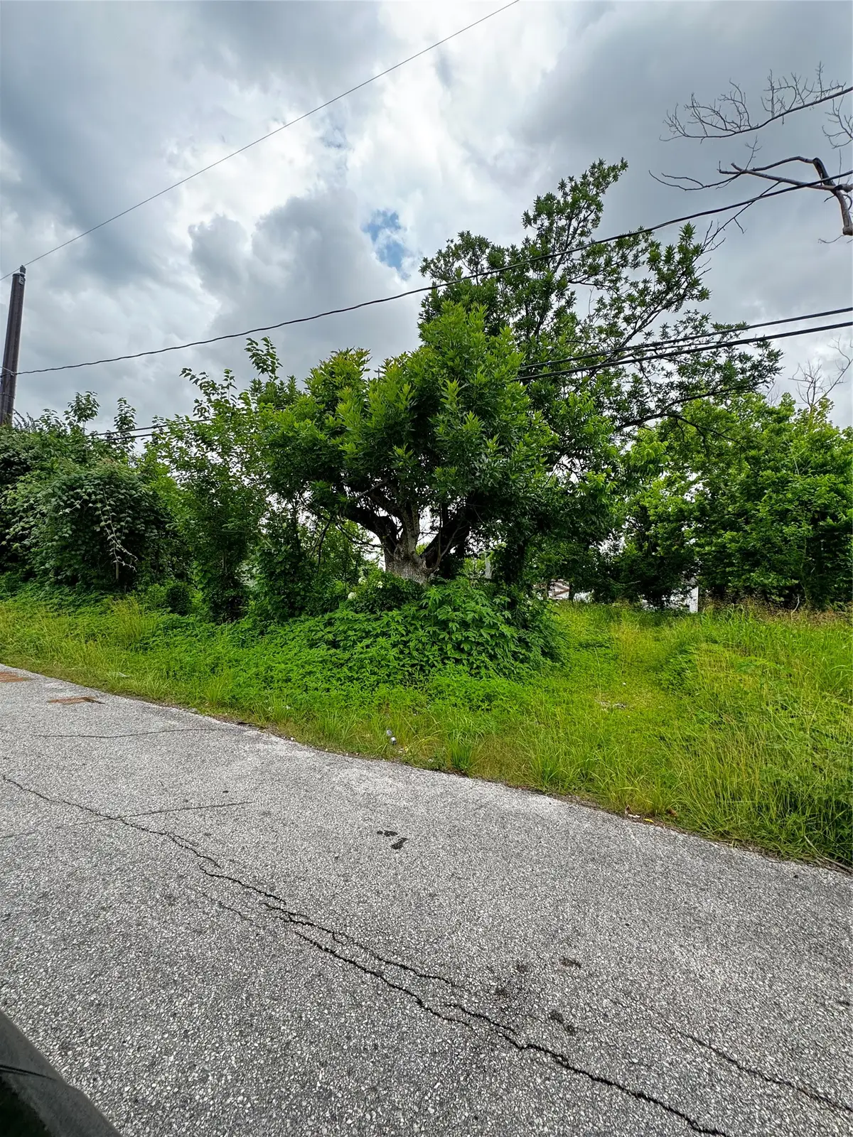 4702 Falls Street, Houston, TX 77026 - #1