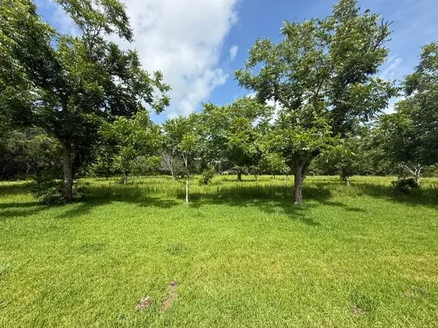 820 Avenue L, Dickinson, TX 77539 - #2