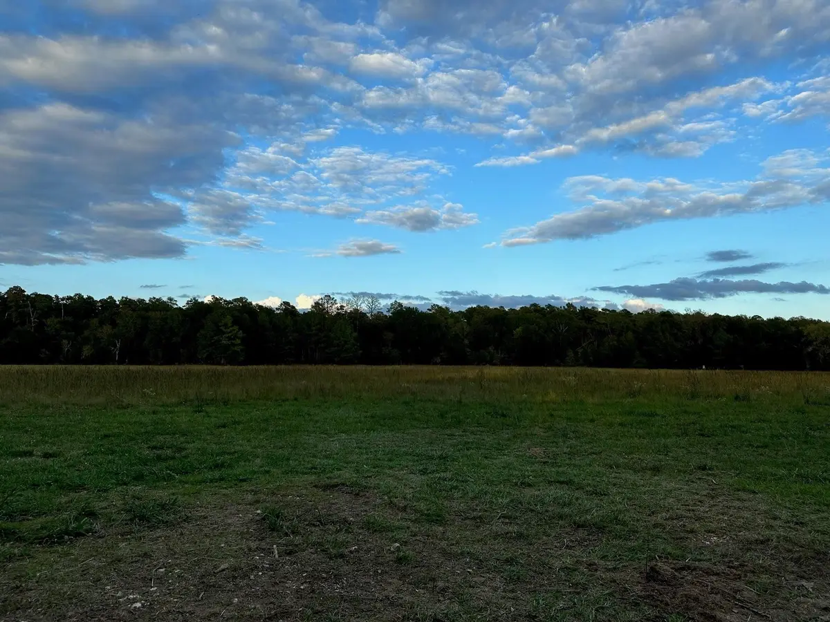 0000 Magee Bend Loop, Groveton, TX 75845 - #1