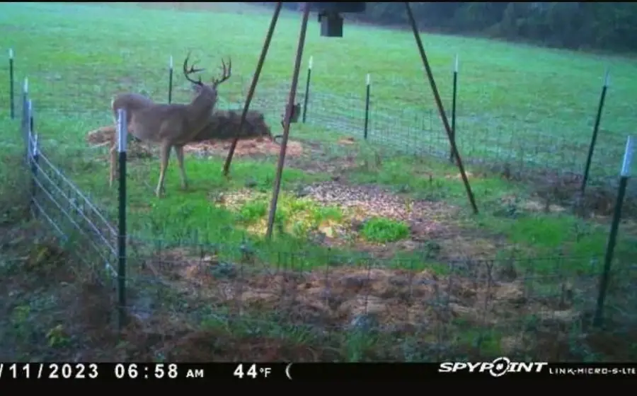0000 Magee Bend Loop, Groveton, TX 75845 - #3