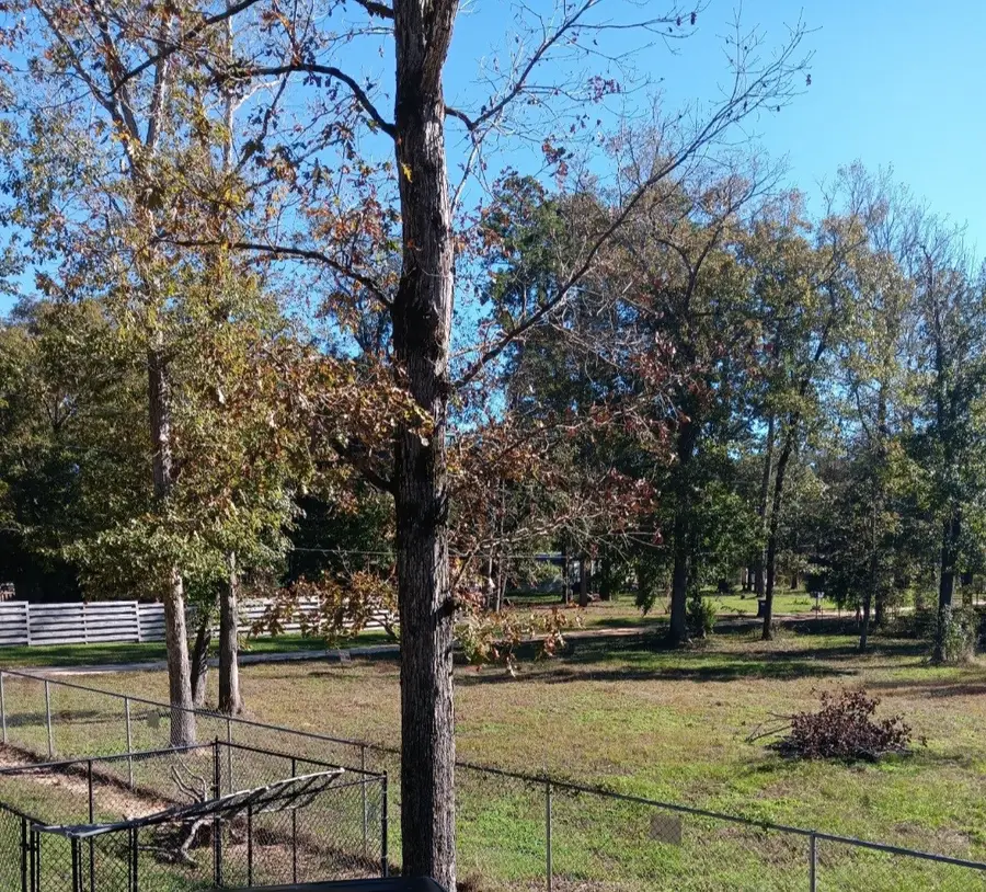 14617 Gibbs Pipeline Road, Willis, TX 77378 - Image #3