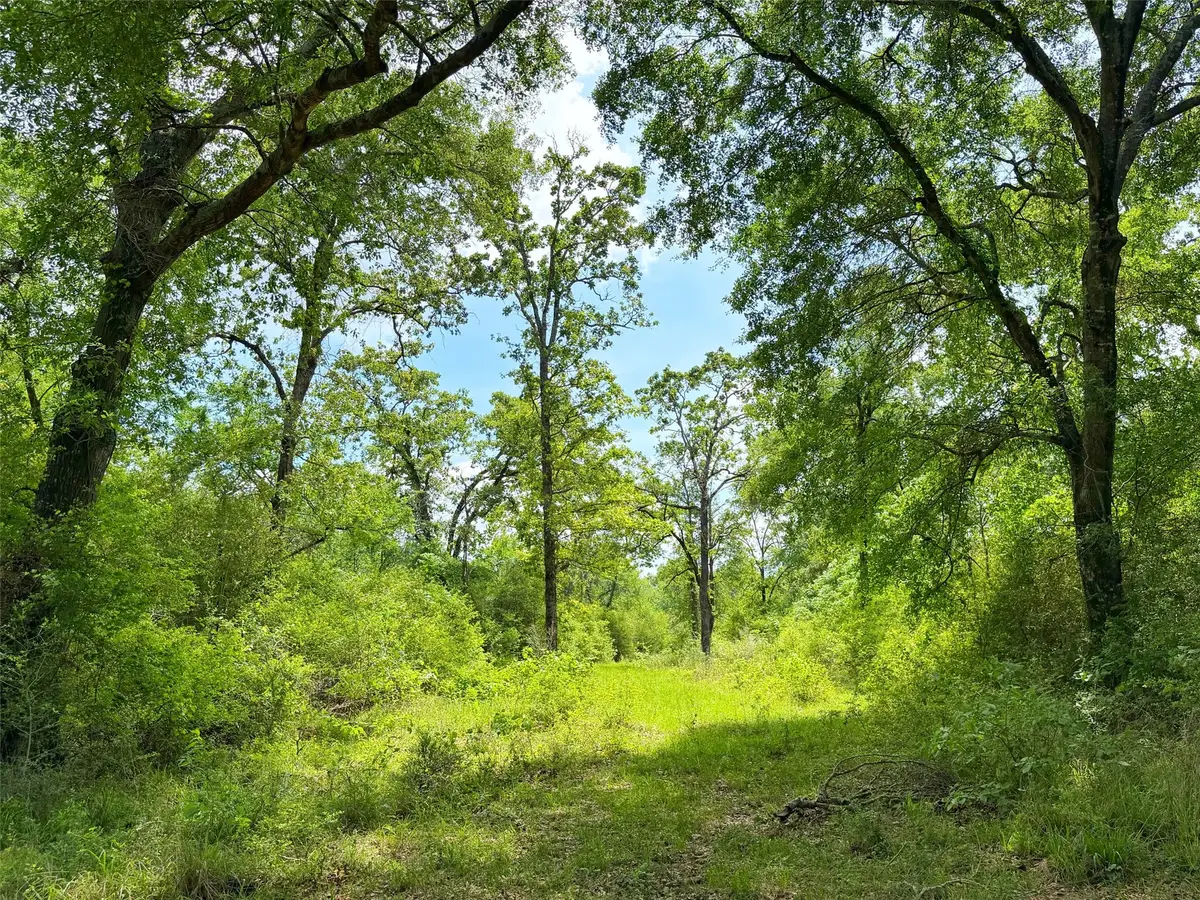 100 ac Cr 408, Normangee, TX 77871 - #1