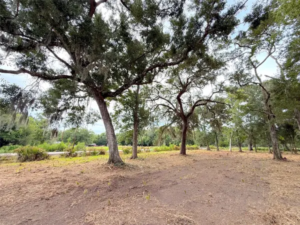 Lot 12A1 Cr 345, Brazoria, TX 77422