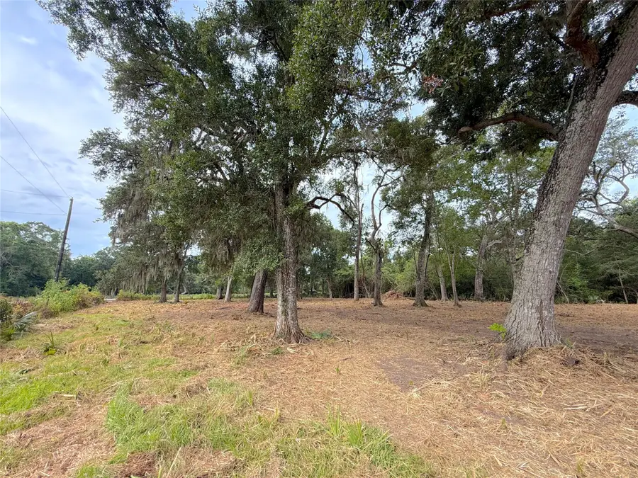 Lot 12A1 Cr 345, Brazoria, TX 77422 - #2