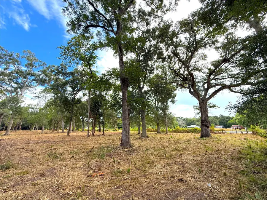 Lot 12A1 Cr 345, Brazoria, TX 77422 - #3