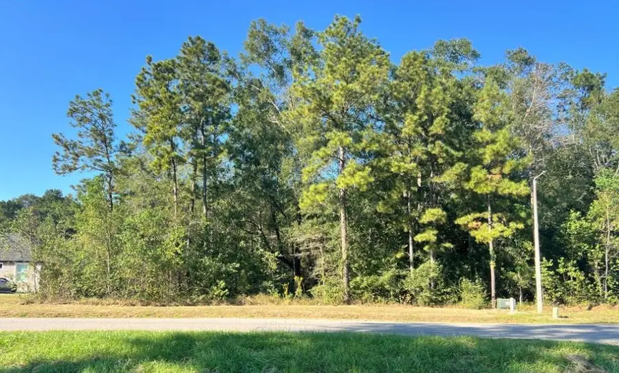 1001 Road 6609, Dayton, TX 77535 - #3