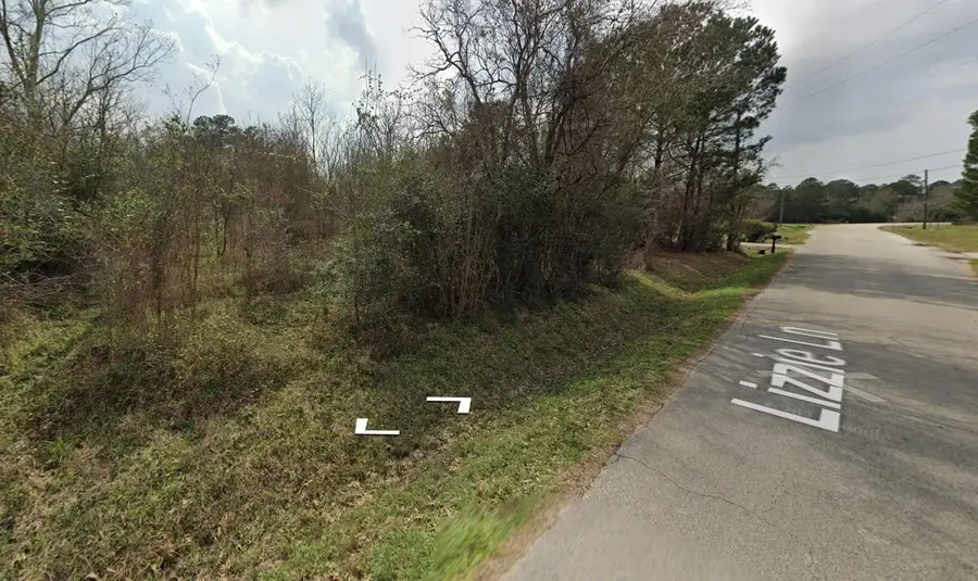 000 Lizzie Lane, Tomball, TX 77375 - #2