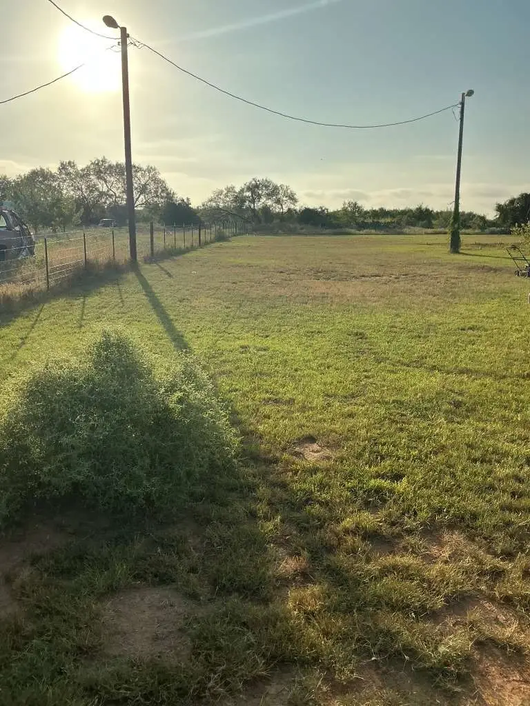 1295 County Road 773, Devine, TX 78016 - #2