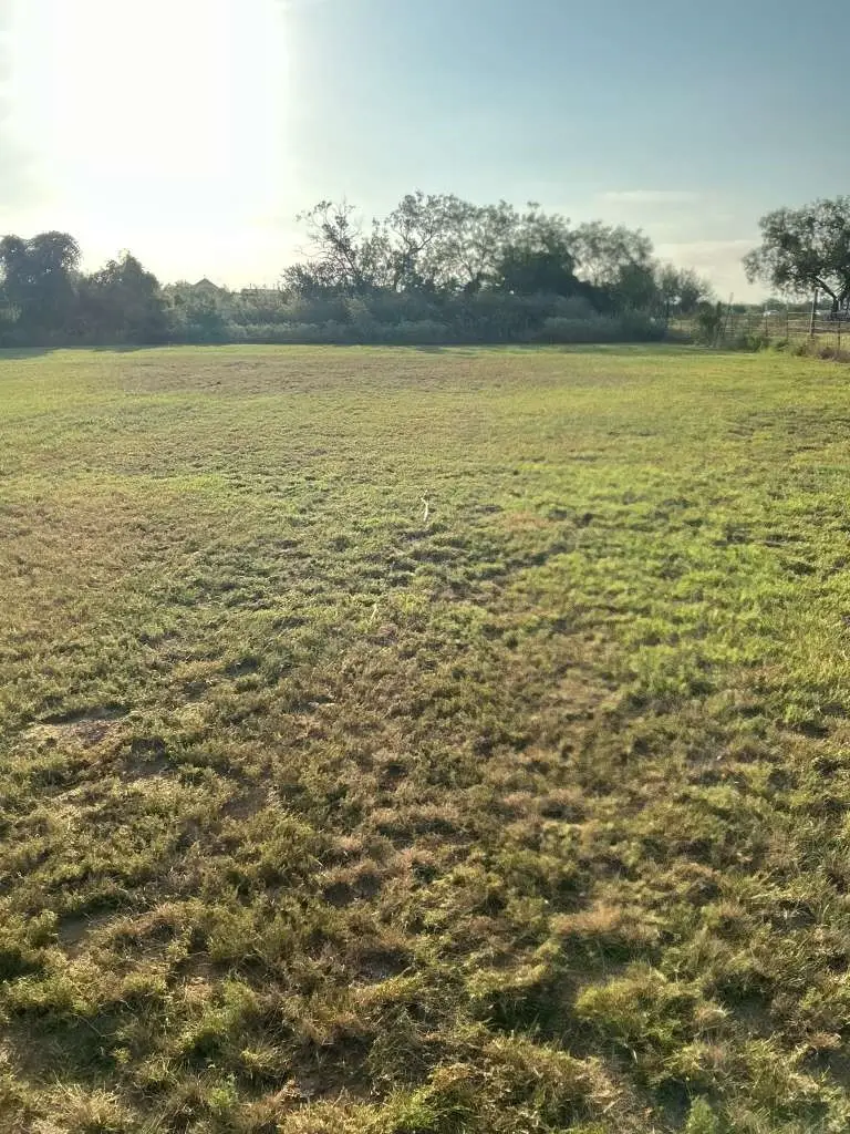 1295 County Road 773, Devine, TX 78016 - #3