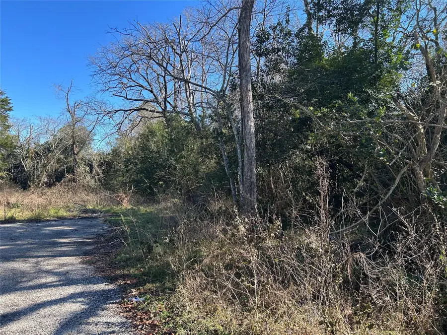 14948 Lot 6-7 Colt Lane, Willis, TX 77378 - #3